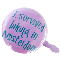I survived biking in Amsterdam